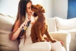 Parfum pour chien au beurre de karité et à la vanille, 150 ml – Animology Star Pups Body Mist – Image 2