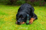 Parfum pour chien au bergamote et à la mousse de chêne, 150 ml – Animology Cloud K9 Body Mist – Image 2
