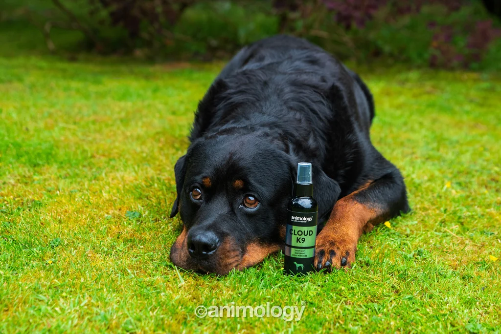 Parfum pour chien au bergamote et à la mousse de chêne, 150 ml – Animology Cloud K9 Body Mist – Image 2