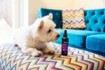 Parfum pour chien au néroli et à la pivoine, 150 ml – Animology Heaven Scent Body Mist – Image 2