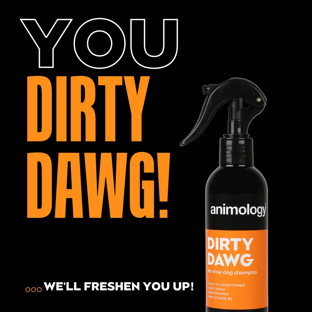 Spray shampooing pour chiens sans rinçage, 250 ml – Animology Dirty Dawg – Image 2