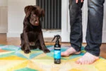 Shampoing pour chiot en spray sans rinçage, 250 ml – Animology Mucky Pup – Image 2