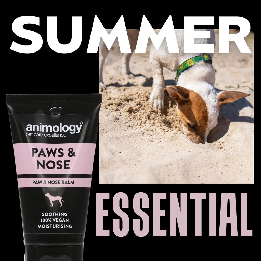 Baume pour les pattes et le nez des chiens, 50 ml – Animology Paws & Nose Balm – Image 2