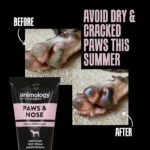 Baume pour les pattes et le nez des chiens, 50 ml – Animology Paws & Nose Balm – Image 3