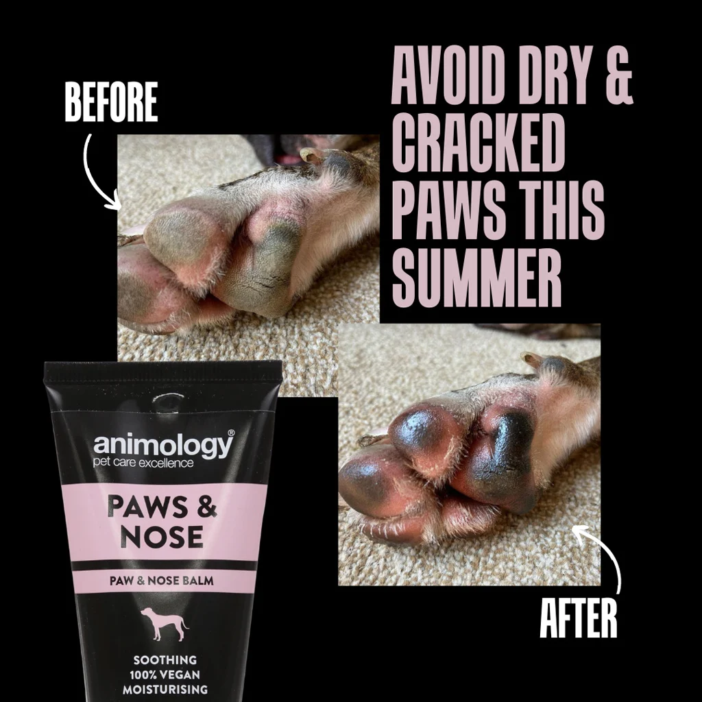 Baume pour les pattes et le nez des chiens, 50 ml – Animology Paws & Nose Balm – Image 3