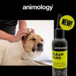 Nettoyant pour les oreilles des chiens avec embout, 100 ml – Animology Clean Ears – Image 2