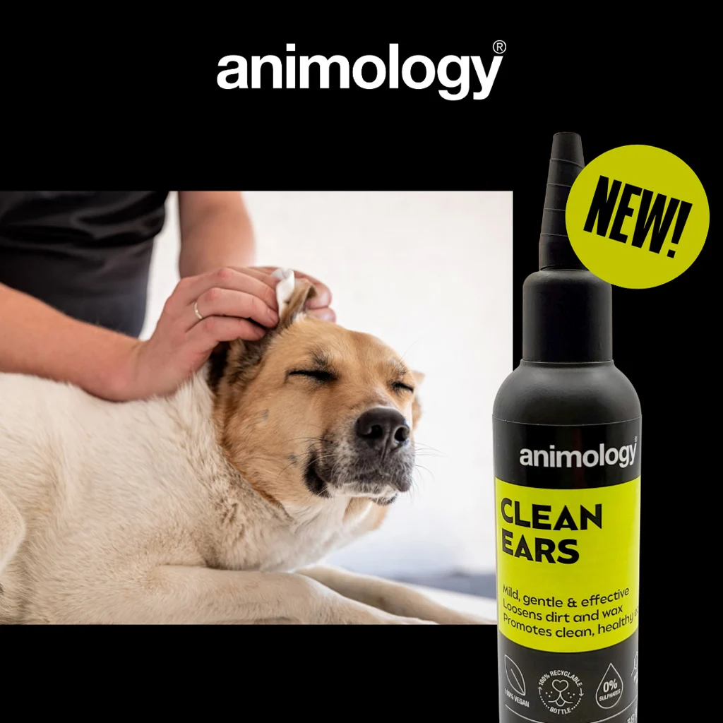 Nettoyant pour les oreilles des chiens avec embout, 100 ml – Animology Clean Ears – Image 2