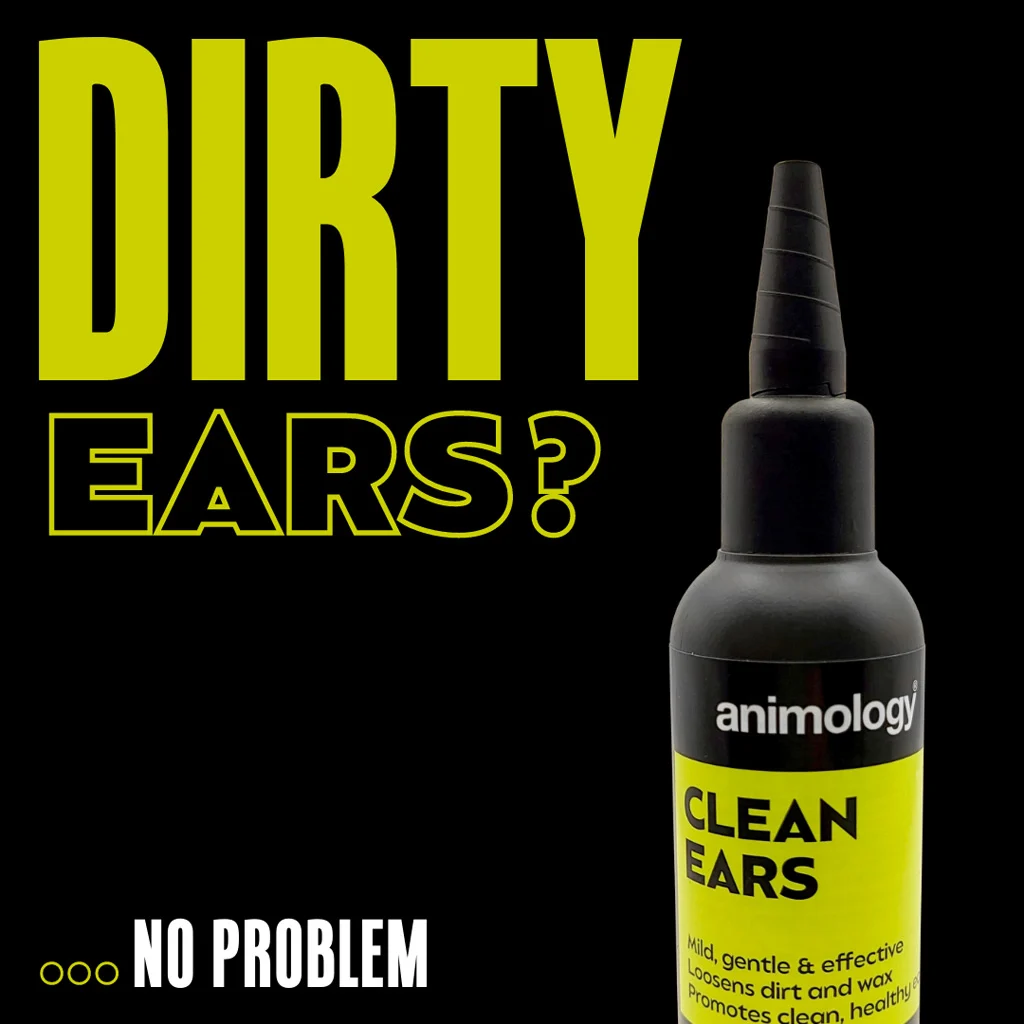Nettoyant pour les oreilles des chiens avec embout, 100 ml – Animology Clean Ears – Image 3