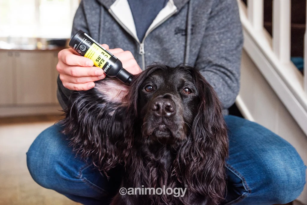 Nettoyant pour les oreilles des chiens avec embout, 100 ml – Animology Clean Ears – Image 4