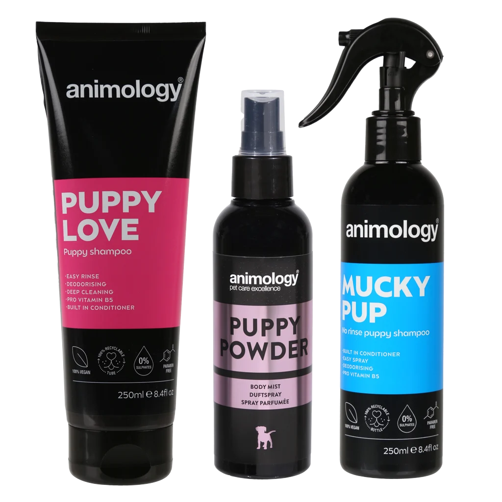 Kit de soins pour chiot avec shampooing, brume corporelle et spray shampooing, 3 produits – Animology My First Puppy Pack – Image 3