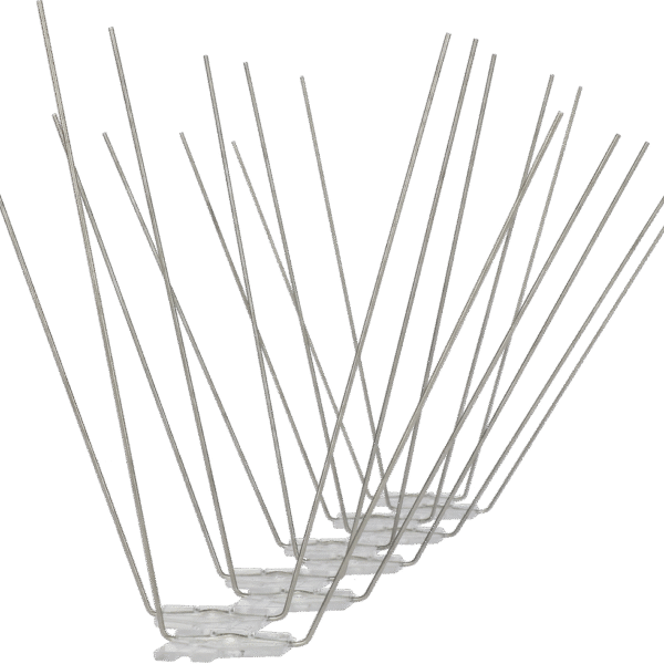 Pics anti mouettes avec pointes en acier inoxydable, 5 m – Avipoint G20