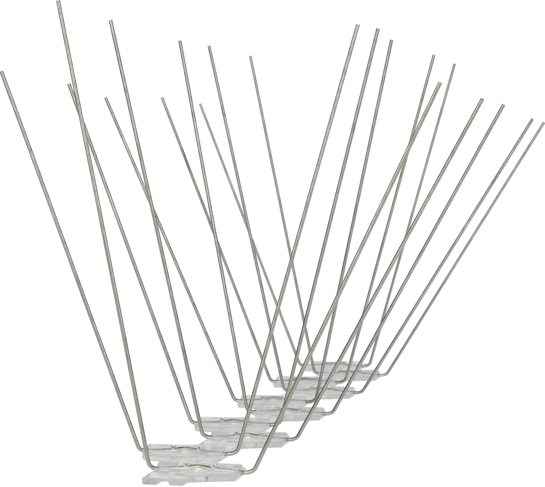 Pics anti mouettes avec pointes en acier inoxydable, 5 m – Avipoint G20 – Image 1