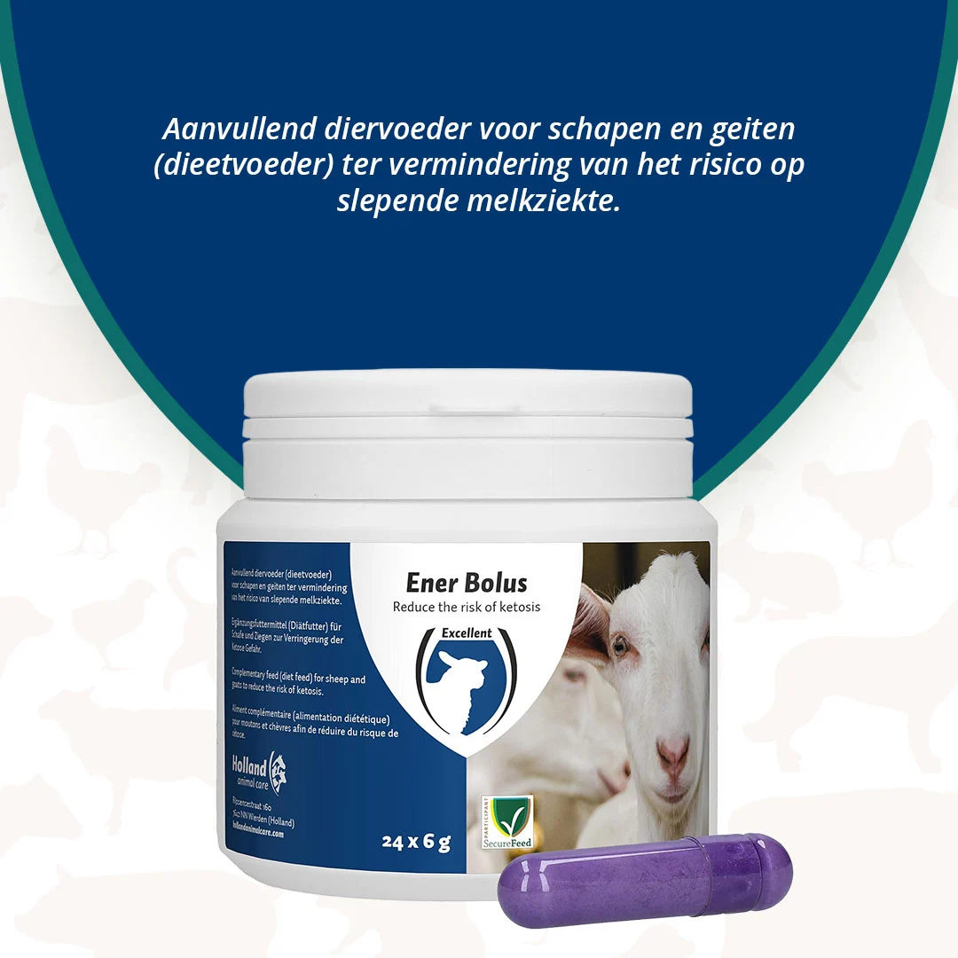 Bolus énergétique pour moutons et chèvres, 24 pièces – Excellent Ener Bolus Schaap & Geit – Image 3