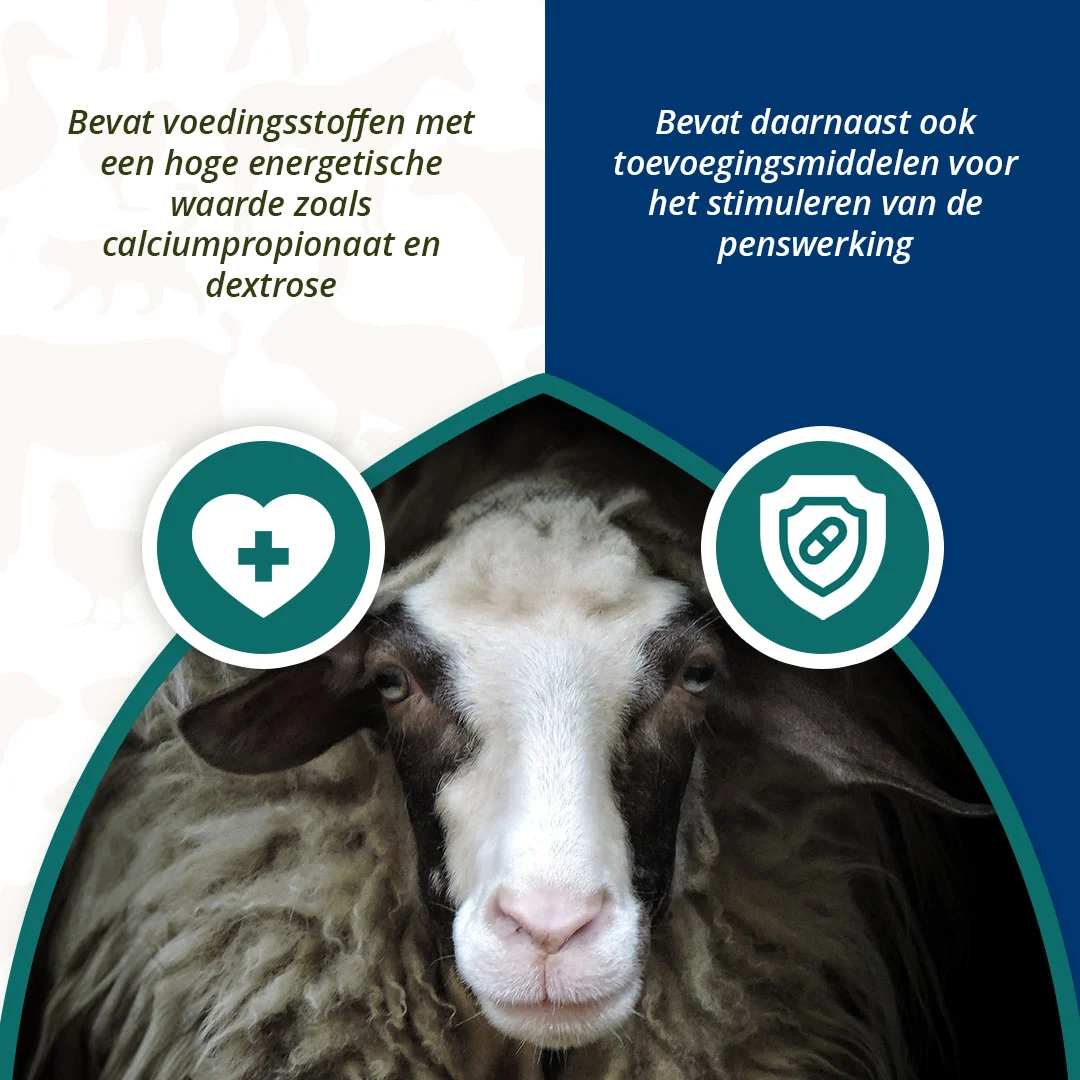 Bolus énergétique pour moutons et chèvres, 24 pièces – Excellent Ener Bolus Schaap & Geit – Image 4
