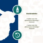 Bolus énergétique pour moutons et chèvres, 24 pièces – Excellent Ener Bolus Schaap & Geit – Image 5