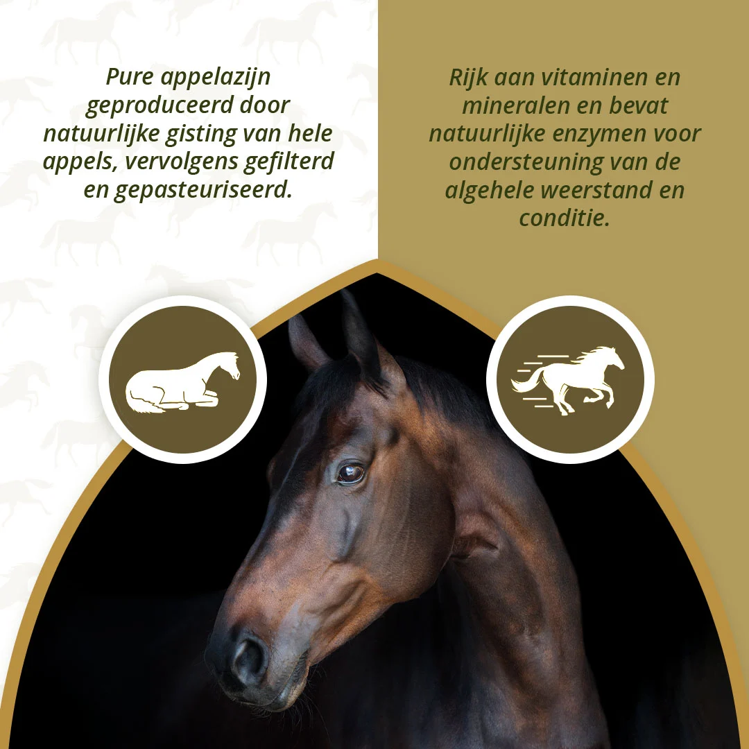 Vinaigre de cidre pour chevaux, 1 l – Excellent Horse Apple Vinegar – Image 3