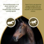 Friandises pour chevaux à l’ail, pauvres en sucre, 1,2 kg – Excellent Horse Sweet Blocks – Image 4