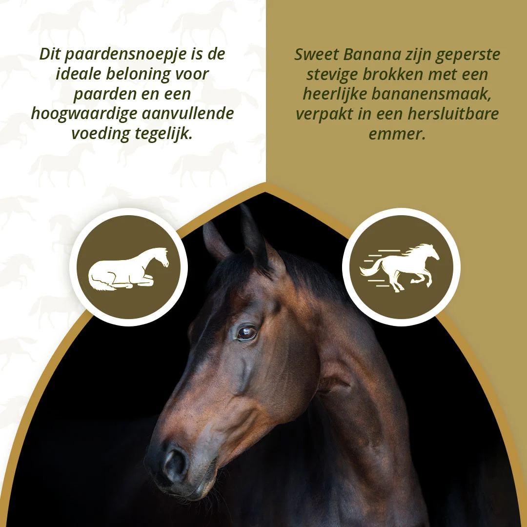 Friandises pour chevaux à la banane, à faible teneur en sucre, 1,2 kg – Excellent Horse Sweet Blocks – Image 4