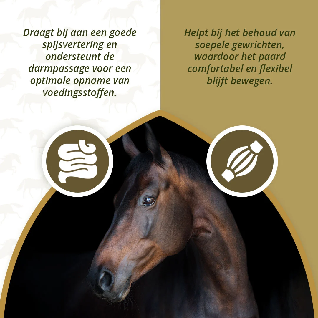Huile végétale pour chevaux avec oméga 3 et 6, 1 l – Excellent Horse Omega Boost – Image 3