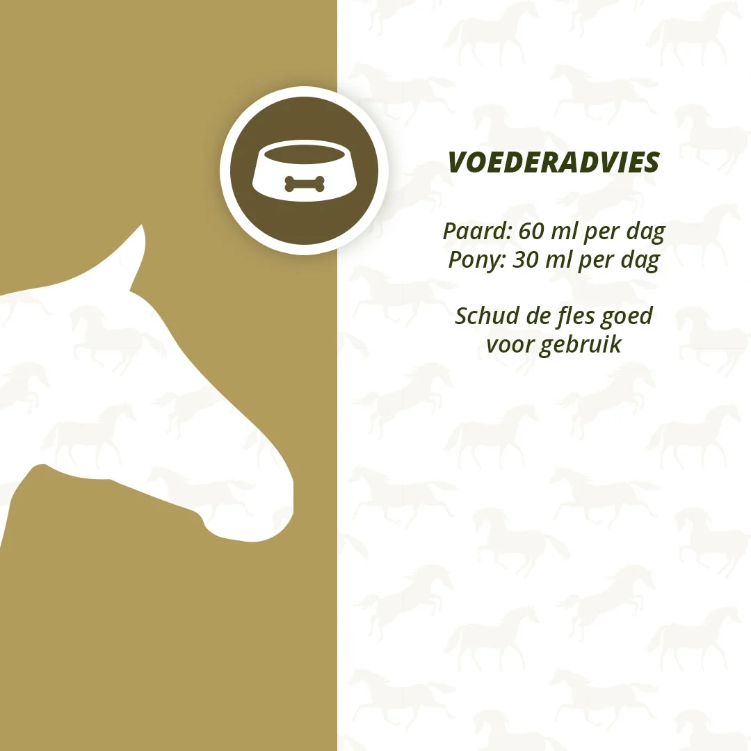Huile végétale pour chevaux avec oméga 3 et 6, 1 l – Excellent Horse Omega Boost – Image 4