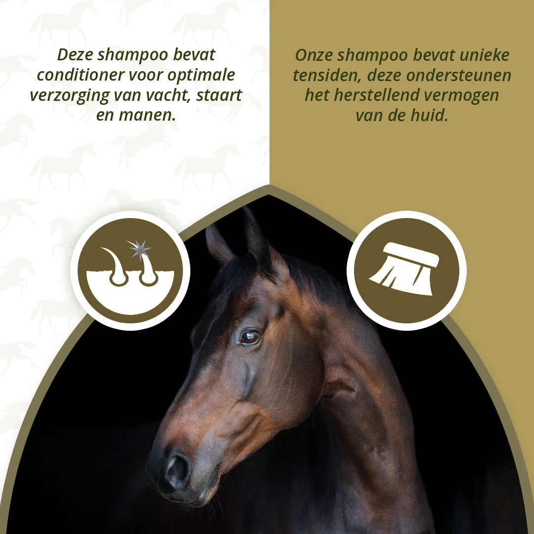 Shampoing pour chevaux pour un pelage brillant, 500 ml – Excellent Horse Hi Gloss Shampoo Lavender – Image 3
