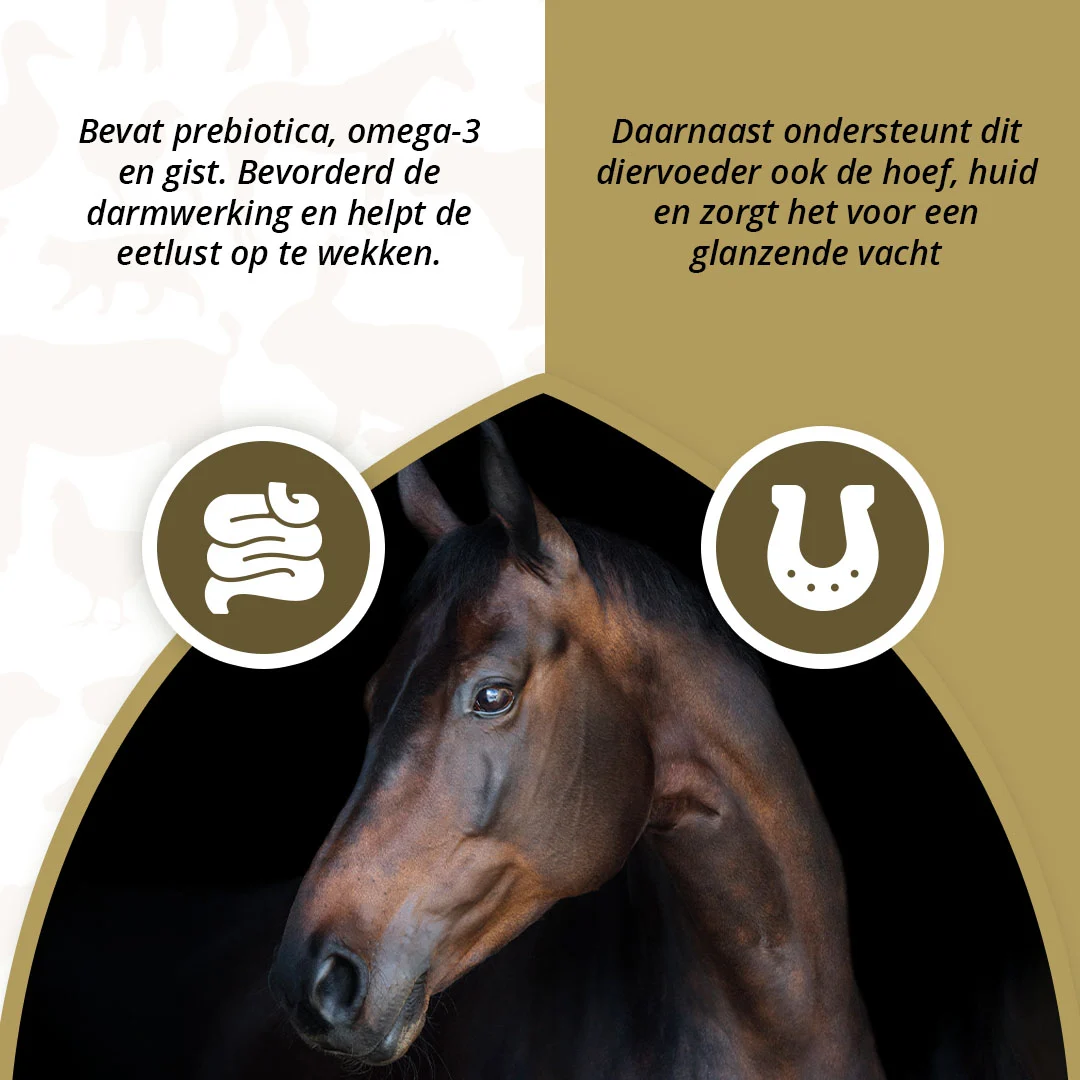 Prébiotiques pour chevaux avec oméga 3 et levure, 2,5 kg – Excellent Horse Prebiotics – Image 3