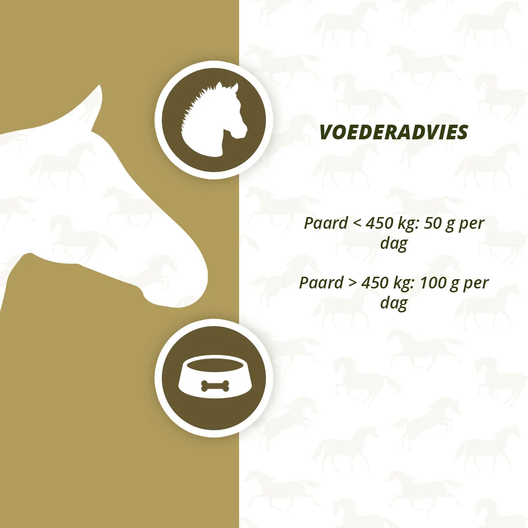 Prébiotiques pour chevaux avec oméga 3 et levure, 2,5 kg – Excellent Horse Prebiotics – Image 4
