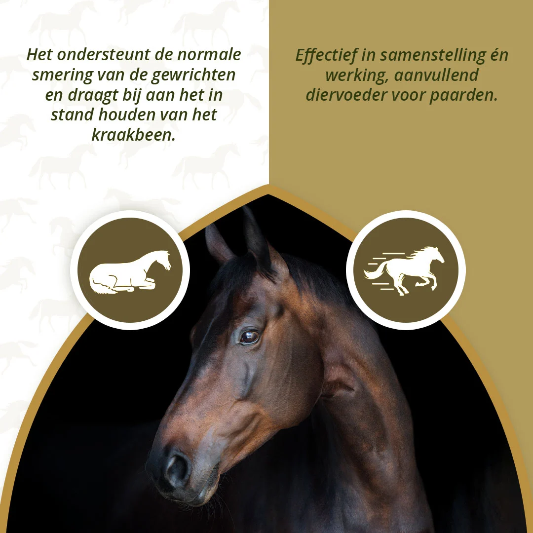 Complément articulaire pour chevaux avec MSM et glucosamine, 2 kg – Excellent Horse Mobility Plus – Image 4