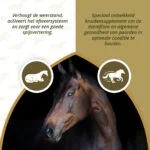 Complément à base de plantes pour chevaux à l’ail et à la menthe, 1,5 kg – Excellent Horse Parex – Image 3