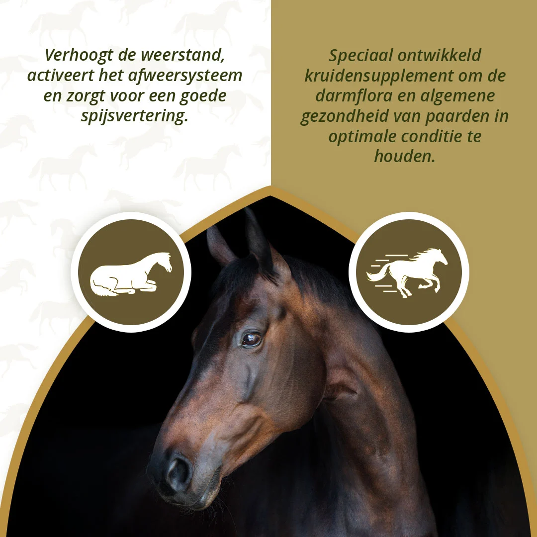 Complément à base de plantes pour chevaux à l’ail et à la menthe, 1,5 kg – Excellent Horse Parex – Image 3