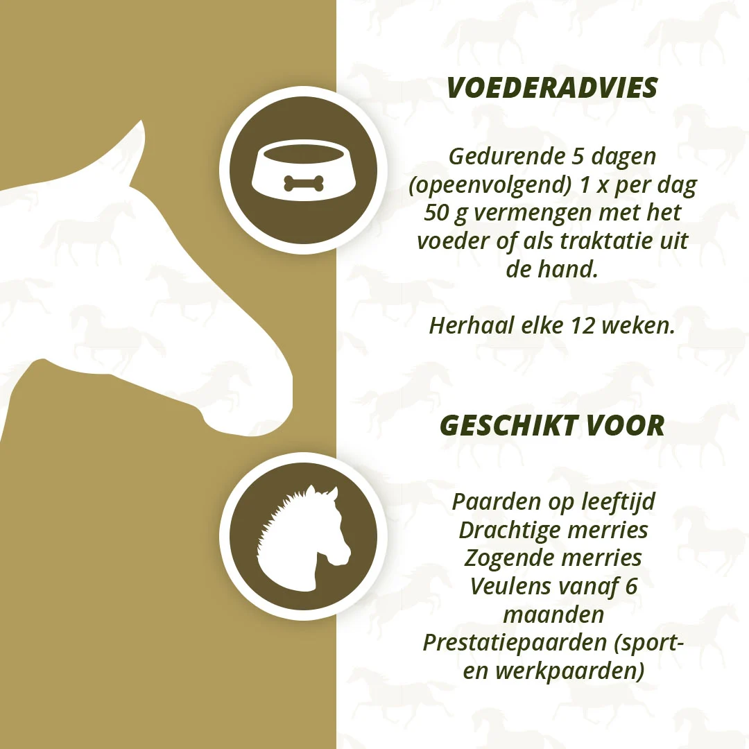 Complément à base de plantes pour chevaux à l’ail et à la menthe, 1,5 kg – Excellent Horse Parex – Image 4