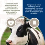 Bolus pour la mamelle des vaches laitières à l’ail noir, 4 x 60 g – Direct Bolus Udder Support – Image 4