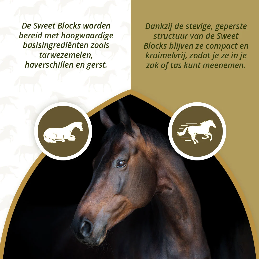Friandises pour chevaux aux herbes, 1 kg – Excellent Horse Sweet Blocks Herbs – Image 3