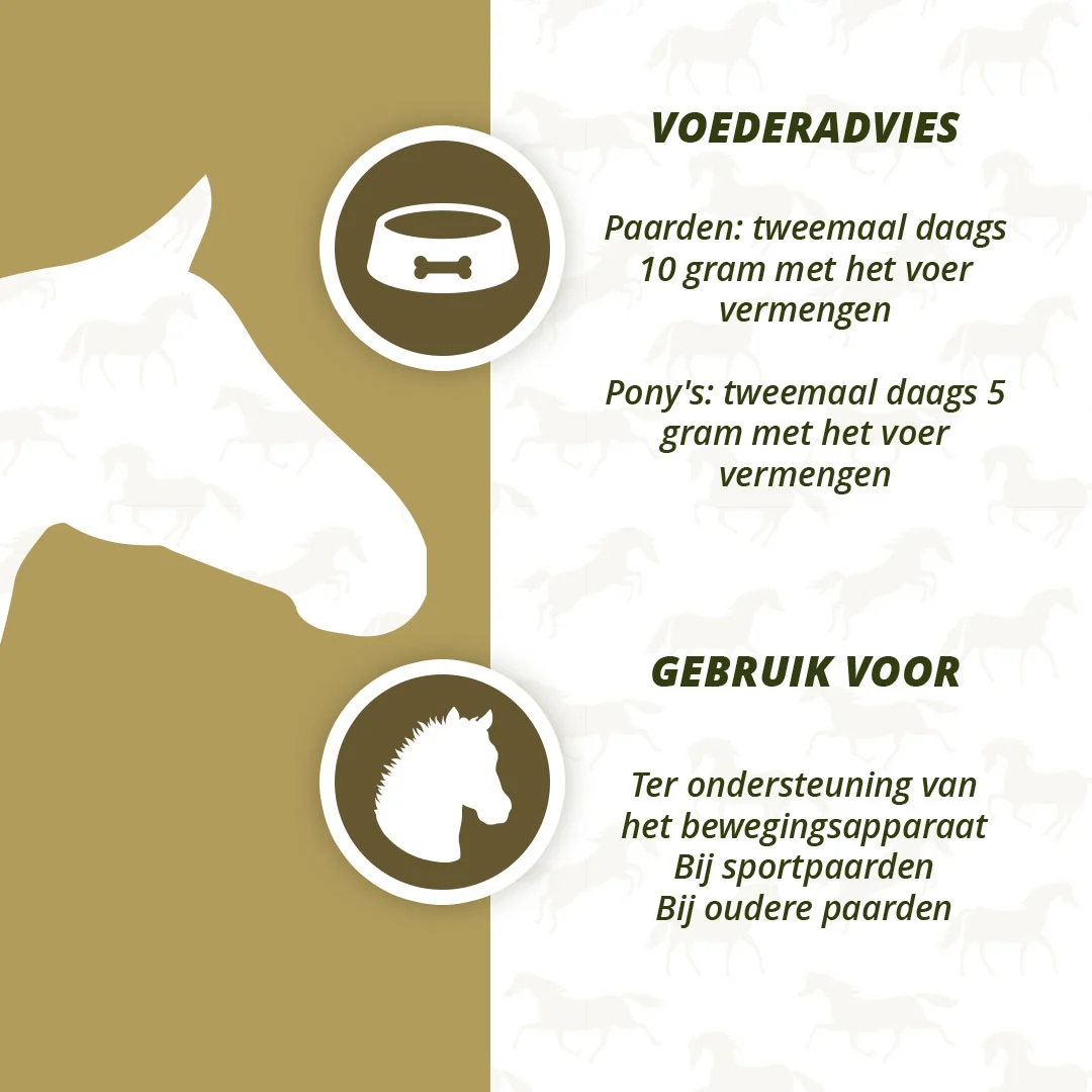 Complément articulaire pour chevaux avec MSM et curcuma, 1 kg – Excellent Horse PureFree – Image 4