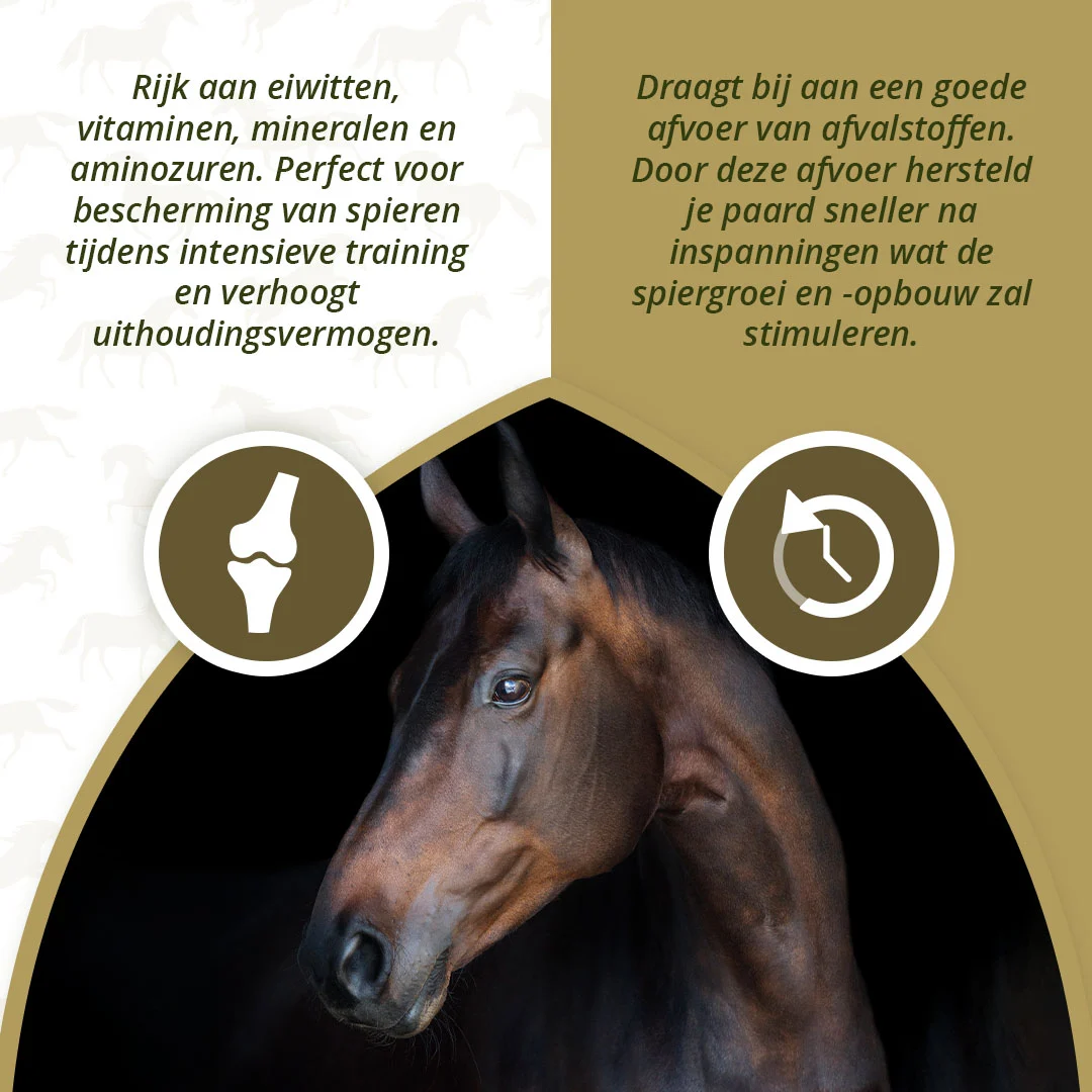 Complément musculaire pour chevaux aux algues, 1 kg – Excellent Horse Turbo – Image 3