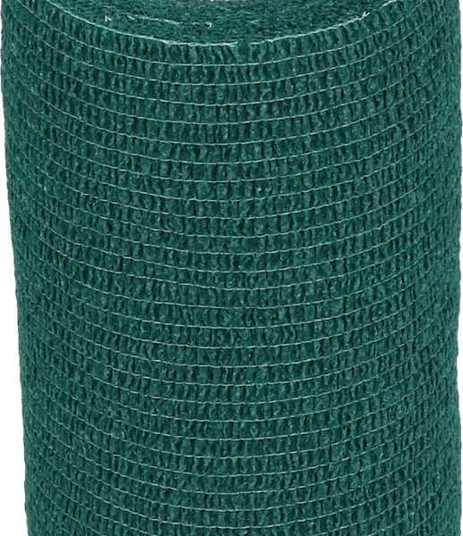 Bande autoadhésive pour jambes et sabots, 10 cm, verte – Excellent Bandage Animal Profi