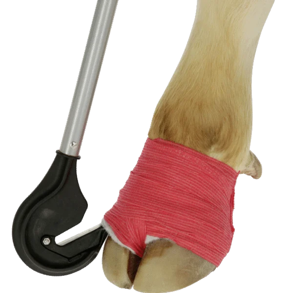 Coupe bandage pour sabot avec lame arrondie et manche de 1 m