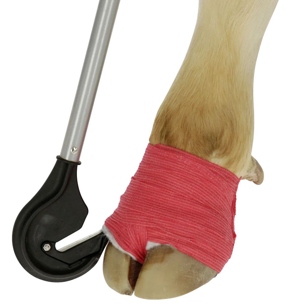 Coupe bandage pour sabot avec lame arrondie et manche de 1 m – Image 1