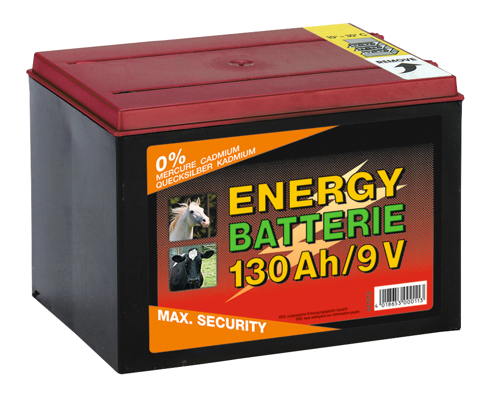 Schrikdraadbatterij 9 V, 130 Ah, 16 x 19 x 13 cm – ZoneGuard EG super Pile pour clôture électrique 9 V, 130 Ah, 16 x 19 x 13 cm – ZoneGuard EG super