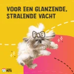 Complément pour le pelage des chiens et des chats à la biotine, 250 g – Excellent Pets Biozin – Image 4