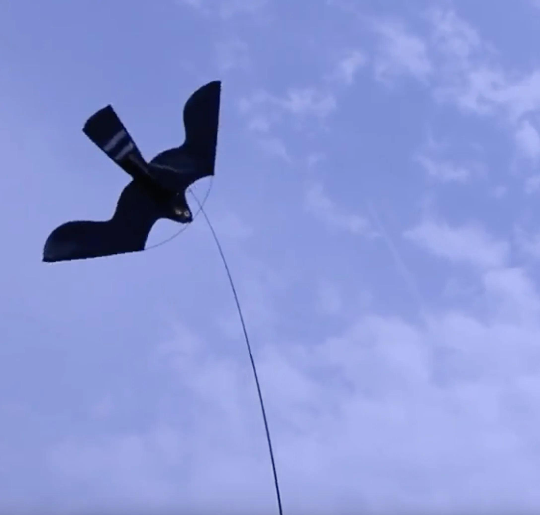 Kit de cerf-volant effaroucheur d’oiseaux avec mât télescopique de 7 mètres – Birdshield – Image 2