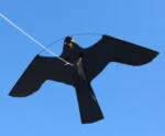 Kit de cerf-volant effaroucheur d’oiseaux avec mât télescopique de 7 mètres – Birdshield