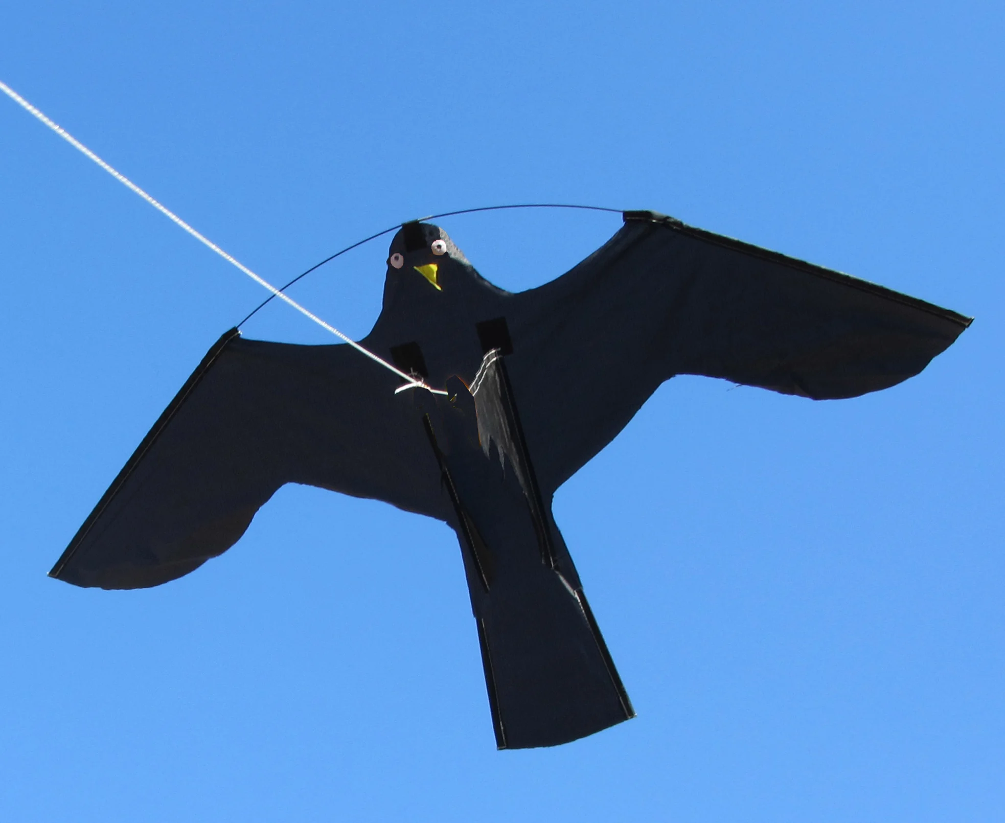 Kit de cerf-volant effaroucheur d’oiseaux avec mât télescopique de 7 mètres – Birdshield – Image 1