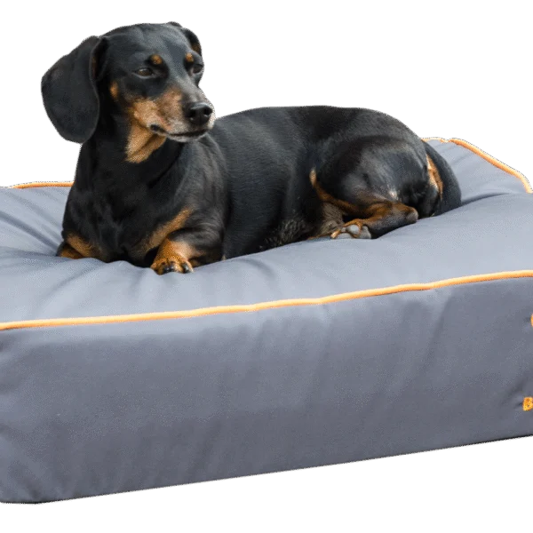 Couchage pour chien avec surface imprégnée et dessous antidérapant, gris S 65 x 50 cm – Bodyguard Royal Bed