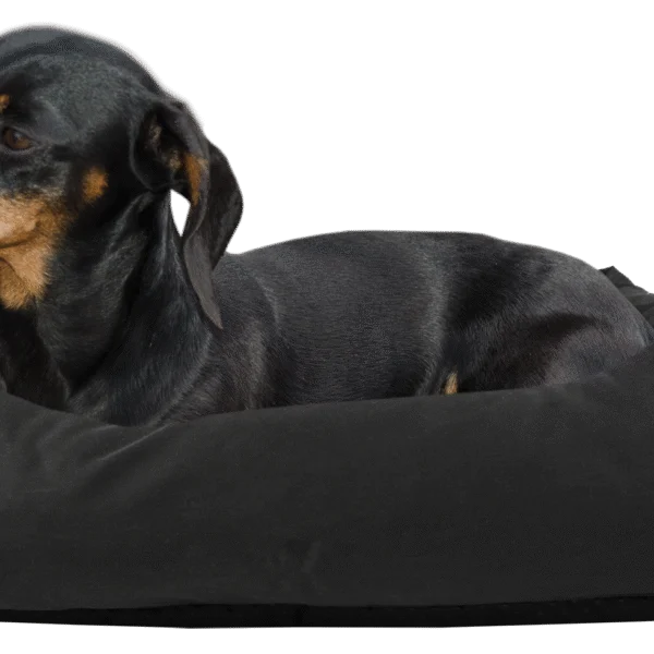 Couchage pour chien avec dessus imprégné et dessous antidérapant, noir, S 65 x 55 cm – Bodyguard Sofa Bed
