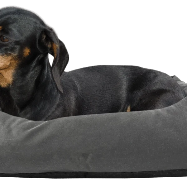 Panier pour chien à revêtement supérieur traité et dessous antidérapant, gris S 65 x 55 cm – Bodyguard Sofa Bed