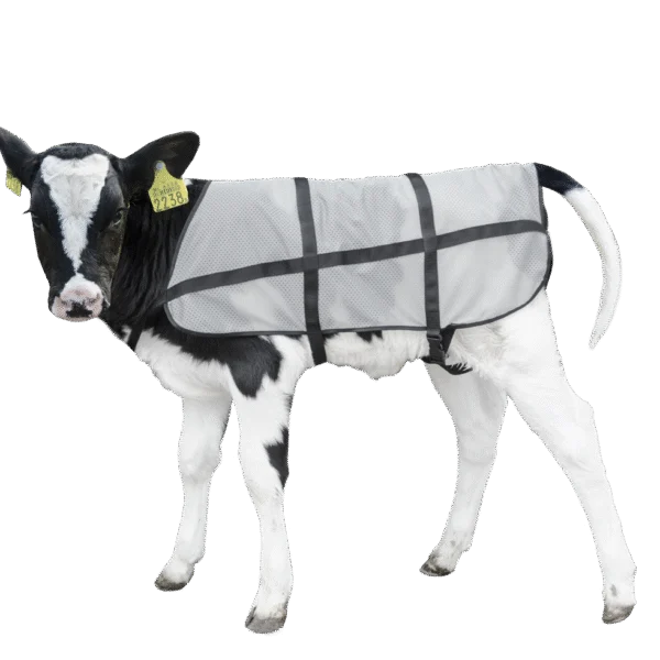 Couverture d’été respirante pour veau, longueur de dos 70 cm – Bodyguard Calf Summer Blanket