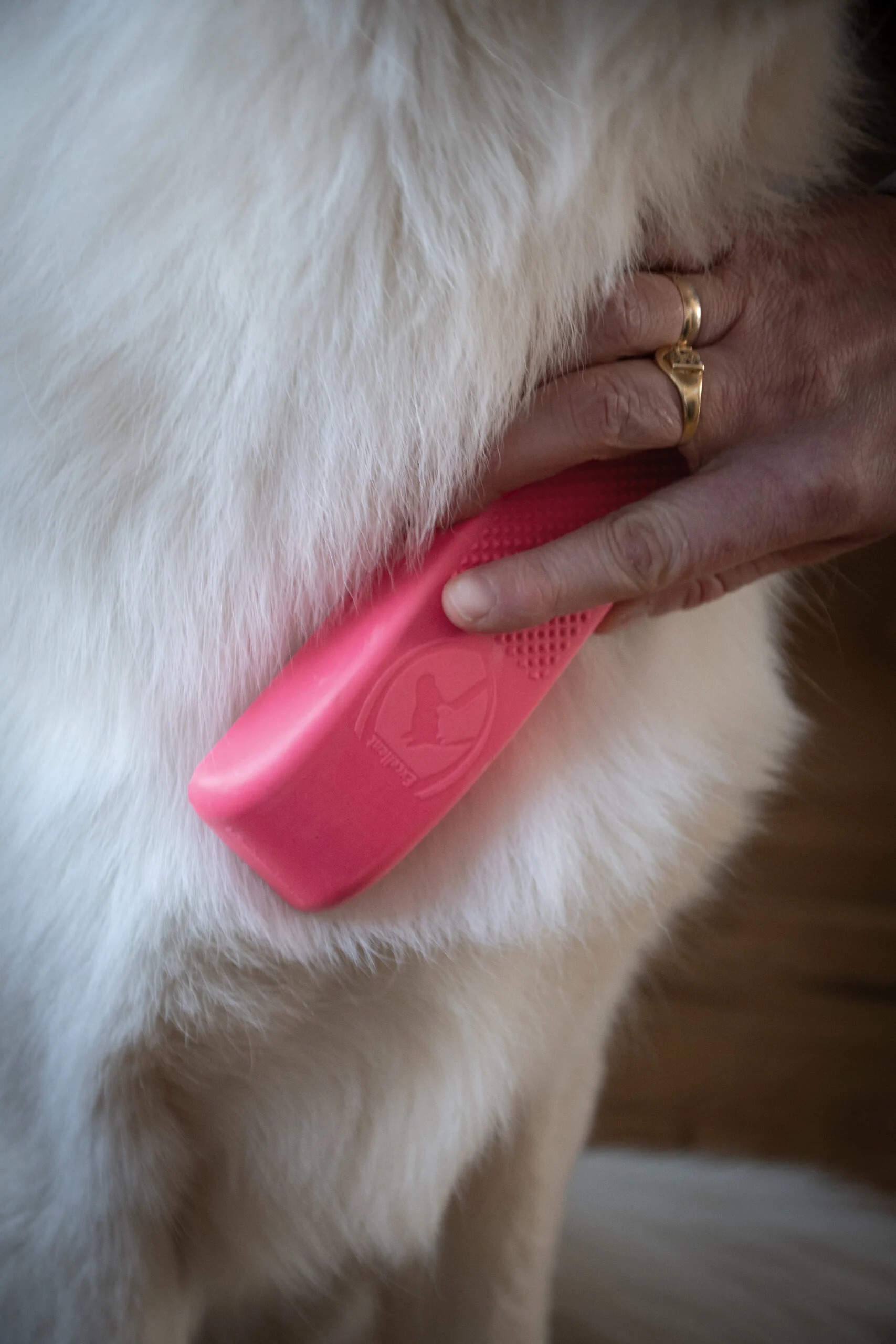 Brosse de lavage et de massage pour chien, taille Medium, rose, 17,5 cm – Excellent Pets Grooming Brush – Image 4
