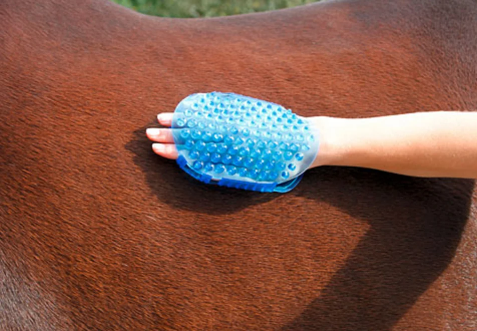 Brosse de massage pour chevaux avec 7 rouleaux en acier inoxydable, bleue, 16 x 10 cm – Image 5