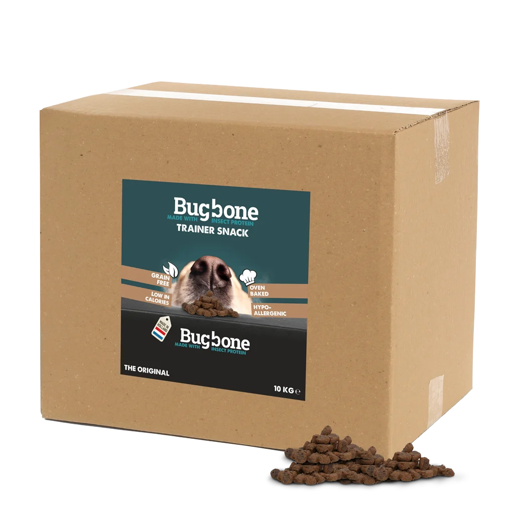 Friandise d’éducation pour chien aux protéines d’insectes, grand conditionnement de 10 kg – Bugbone Trainer Snack – Image 1